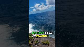 En haut de la falaise ce poisson pêche 🎣 [upl. by Netsirc]