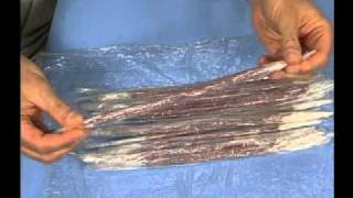 Muscle Anatomy Plastic Wrap Teaching Tip Video [upl. by Naillig]