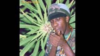 GANJA FARMER BY MARLON ASHER [upl. by Rramel25]