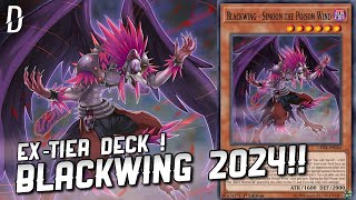 Blackwing Deck 2024  Duel Links [upl. by Lannie]