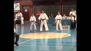 Heian Godan Kata y Bunkai Shotokan 2005wmv [upl. by Leduar]