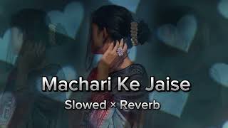 🥵Machari Ke Jaise Tarpe Jawani Lofi Song lofilofimixlofidjmixslowedreverbsadlofisonglofistatus [upl. by Denison]