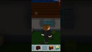 Mini block craft game build New House 🏠🏠🥰 [upl. by Ytissahc]