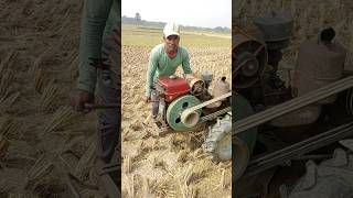 Power tillers are now used for many purposes in the agricultural sector agriculture shortvideo [upl. by Aicirtak]