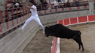 BEAUVOISINLigueCourse Camarguaise30032024 [upl. by Kcirdled]