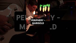 PERIPHERY  MARIGOLD instrumental cover guitar metalcover periphery [upl. by Zulaledairam]