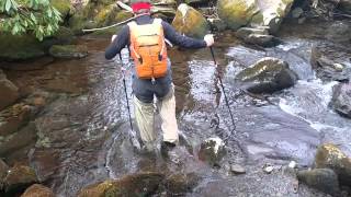 Wiggys Waders on Madron Bald Trail [upl. by Elboa593]