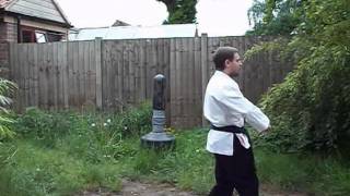 Hakutsuru Kenpo Karate [upl. by Adnola]