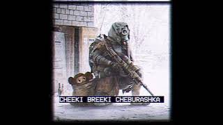 Cheeki Breeki Cheburashka  Ayden George Remixes [upl. by Narba]