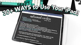 30 WAYS to Use Your iPad Tips for Productivity Creativity amp Organization [upl. by Nwadahs523]