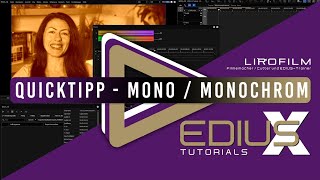 EDIUS  Mono  Monochromfilter [upl. by Portugal]