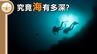 海究竟有多深 繁體中文字幕 [upl. by Madanhoj]