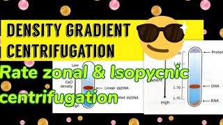 Density gradient centrifugation Rate zonal amp Isopycnic centrifugation [upl. by Dee Dee195]