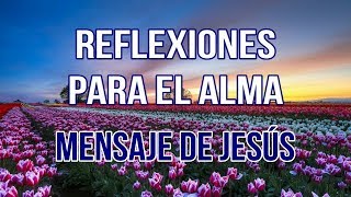 REFLEXIONES PARA EL ALMA  MENSAJE DE JESÚS [upl. by Aicre892]