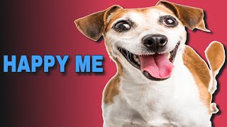 5 Sound That Make Dogs Happy  HAPPY ME [upl. by Arika]