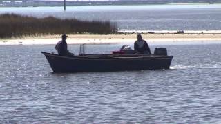 Thousands Of Pounds Of Oysters Illegally Harvested In Florida [upl. by Dagna]