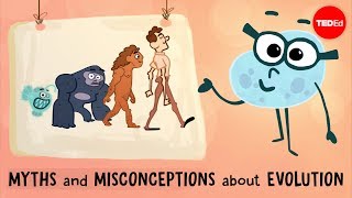 Myths and misconceptions about evolution  Alex Gendler [upl. by Tommie]