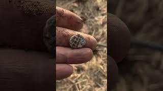 lead medieval token found metal detecting Scotland xp deus [upl. by Sheelah]