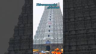 திருவண்ணாமலை பெளர்ணமி கிரிவலம் 🙏 கிரிவலம் போகும் போது செய்ய வேண்டியவை ⛰️Thiruvannamalai Girivalam [upl. by Ardet931]