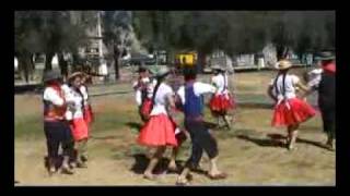 CUECA TARIJEÑA  OSCAR VIDEA  HIJA DE LA LUNA [upl. by Ahtera]