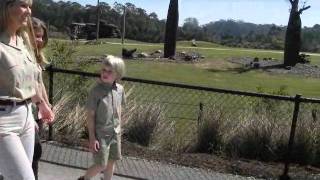 Irwin family tour new Africa exhibit at Australia Zoo [upl. by Anan]