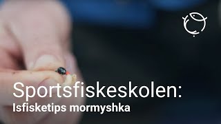 Isfiskeutstyr og tips til mormyshkafiske etter abbor [upl. by Leonardi]