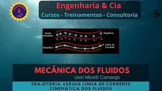 16 Trajetória e Linhas de Corrente   Cinemática dos Fluidos  por Micelli Camargo [upl. by Craw257]