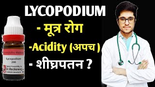 Lycopodium Clavatum 200 Homoeopathic medicine uses in Hindi [upl. by Mya586]