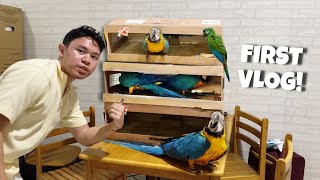 UNBAKSING MGA MACAW ANIM NA MACAW NATIN [upl. by Anitnamaid]