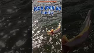 IPON Peixe bom na linha🎣fishing [upl. by Nirrad507]