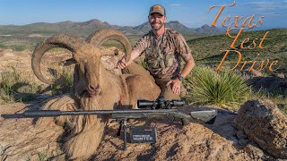 Texas Test Drive  Hunting Aoudad with Hornadys 7mm PRC [upl. by Cynthla]