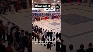 Diyarbakır düğünü diyarbakir amedspor halay kürtçe yanmirimyandiyarbekir travel shorts [upl. by Jordon]