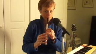 Goodbye Muirsheen Durkin Tin whistle [upl. by Yoho]