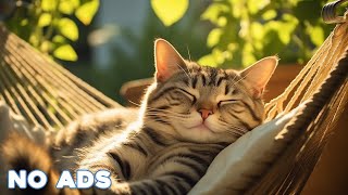 Relax Your Cat  56 Minutes of Soothing Music for Cats  Cat Purring Sounds  Sleepy Cat [upl. by Lyreb]