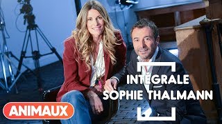 Sophie Thalmann dans Animaux Stars intégrale  Animaux [upl. by Ermina394]