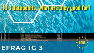 ESRS IG3 Datapoints what are they and how can we not use them [upl. by Aniretak525]