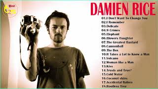 Damien Rices Greatest Hits  Best Songs Of Damien Rices [upl. by Latsyrk975]