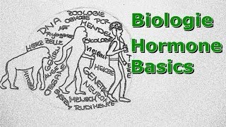 Hormone Basics [upl. by Nuahsad]