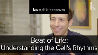 Beat of Life Understanding the Cell’s Rhythms [upl. by Anwad619]