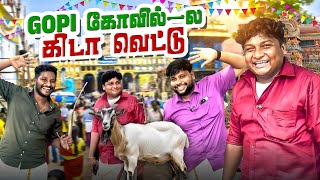 நாங்களே சுட்டு சாப்பிட்ட சுவரொட்டி  GOSU Vlogs [upl. by Paza]