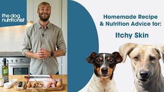 Itchy Skin  Homemade Dog Food Recipe by The Dog Nutritionist [upl. by Krueger381]