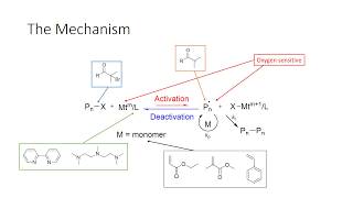 Atom transfer radical polymerization ATRP [upl. by Einahpats88]