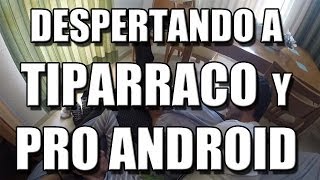 DESPERTANDO A TIPARRACO Y PRO ANDROID [upl. by Acinod]