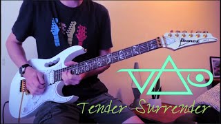 Tender Surrender  Steve Vai  Full Song Cover [upl. by Olivia]