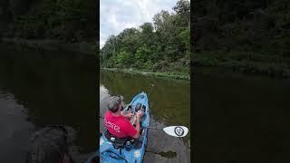 Rock Bass on Crooked Creek  Kayak Fishing  Bonafide RVR 119  Nature [upl. by Tollmann]