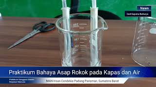 Praktikum Uji Bahaya Asap Rokok Terhadap Paruparu biologi rokok asap praktikum uji SMA MAN [upl. by Sillyhp]