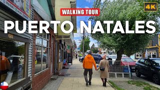 Puerto Natales CHILE Walk  Base Camp for Patagonia Travel [upl. by Revolc199]