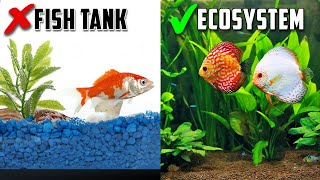 This Has to Stop Changing the Conversation About Aquarium Cycling [upl. by Hailahk]