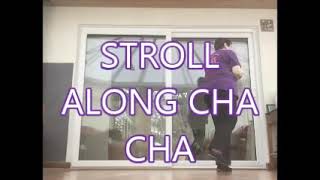 STROLL ALONG CHA CHA [upl. by Rania]