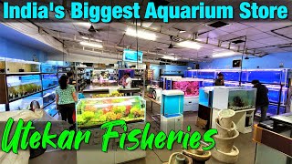 Indias Biggest Aquarium Store I Utekar Fisheries I Mumbai [upl. by Pohsib763]